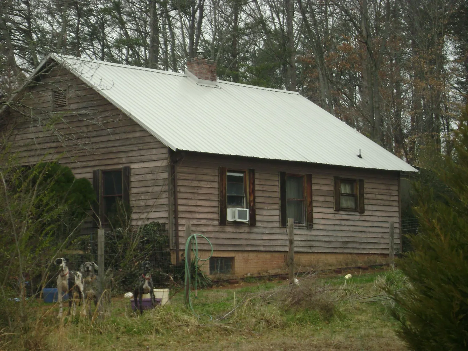 White metal roof on an old wood sided farmhouse, from a Asphalt Shingle Roof Repair job in West Wendover